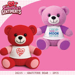 Valentines Day Glass Plush and Gift Assortment Floor Display - 56 Pieces Per Retail Ready Display Kit 88616 NOVELTY INC