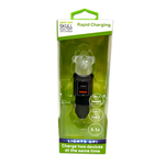 Car Charger Dual Port USB / USB-C LED Skull 3.1 Amp - 3 Pieces Per Pack 41785 GADGET GEAR