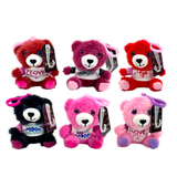 Valentines Day Rose Plush and Gift Assortment Floor Display - 78 Pieces Per Retail Ready Display Kit 88615 NOVELTY INC