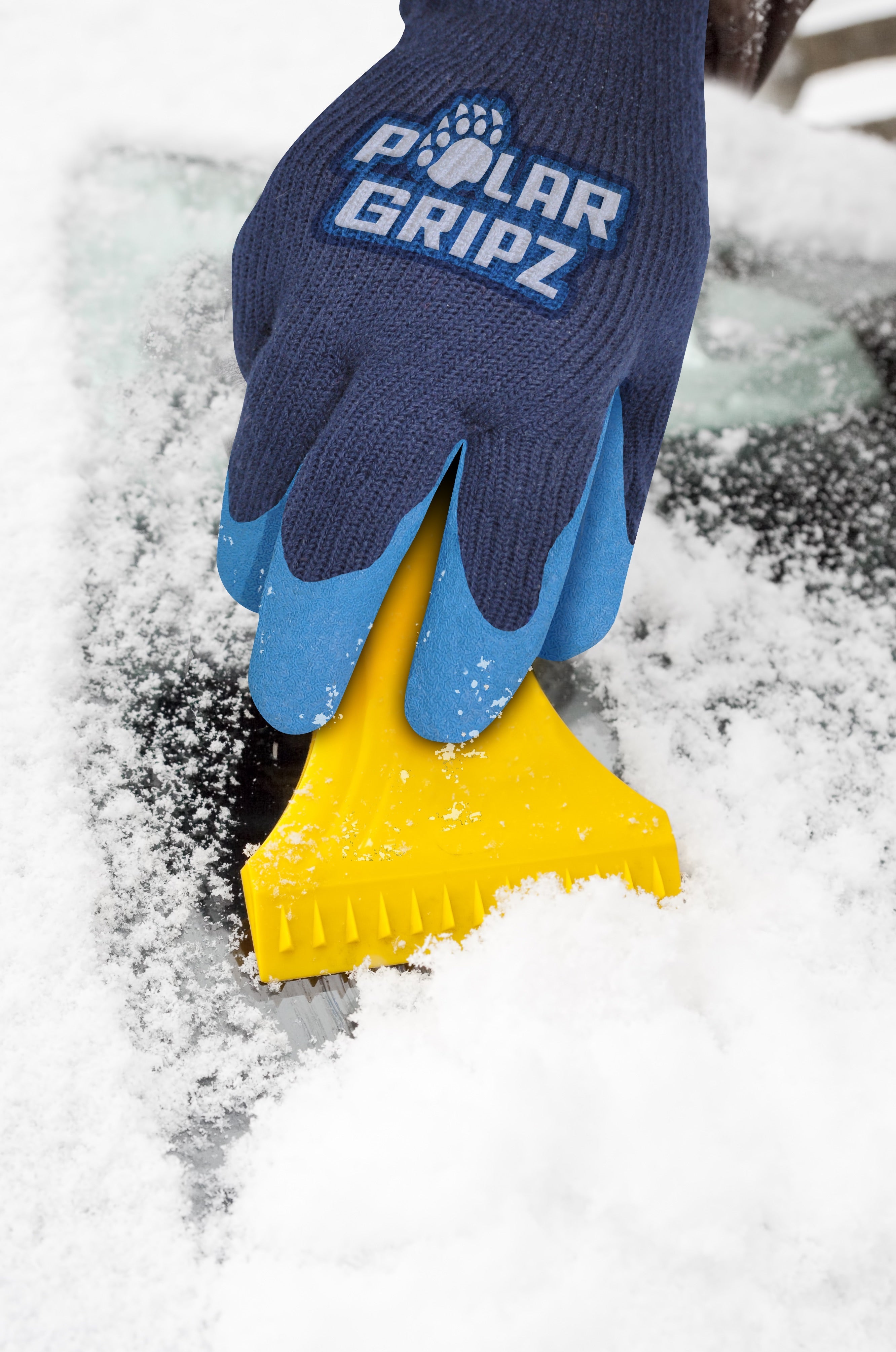 Coated Insulated Gloves 6 Pieces Per Retail Ready Display 22691 POLAR GEAR