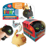 Squish and Squeeze Cat Ball - 12 Pieces Per Pack 22964 KIPP BROTHERS